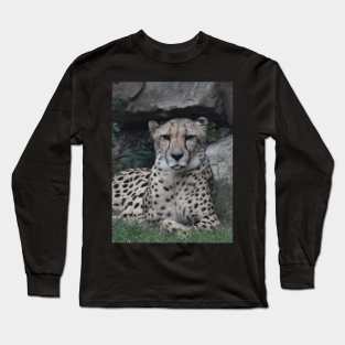 Cheetah Long Sleeve T-Shirt